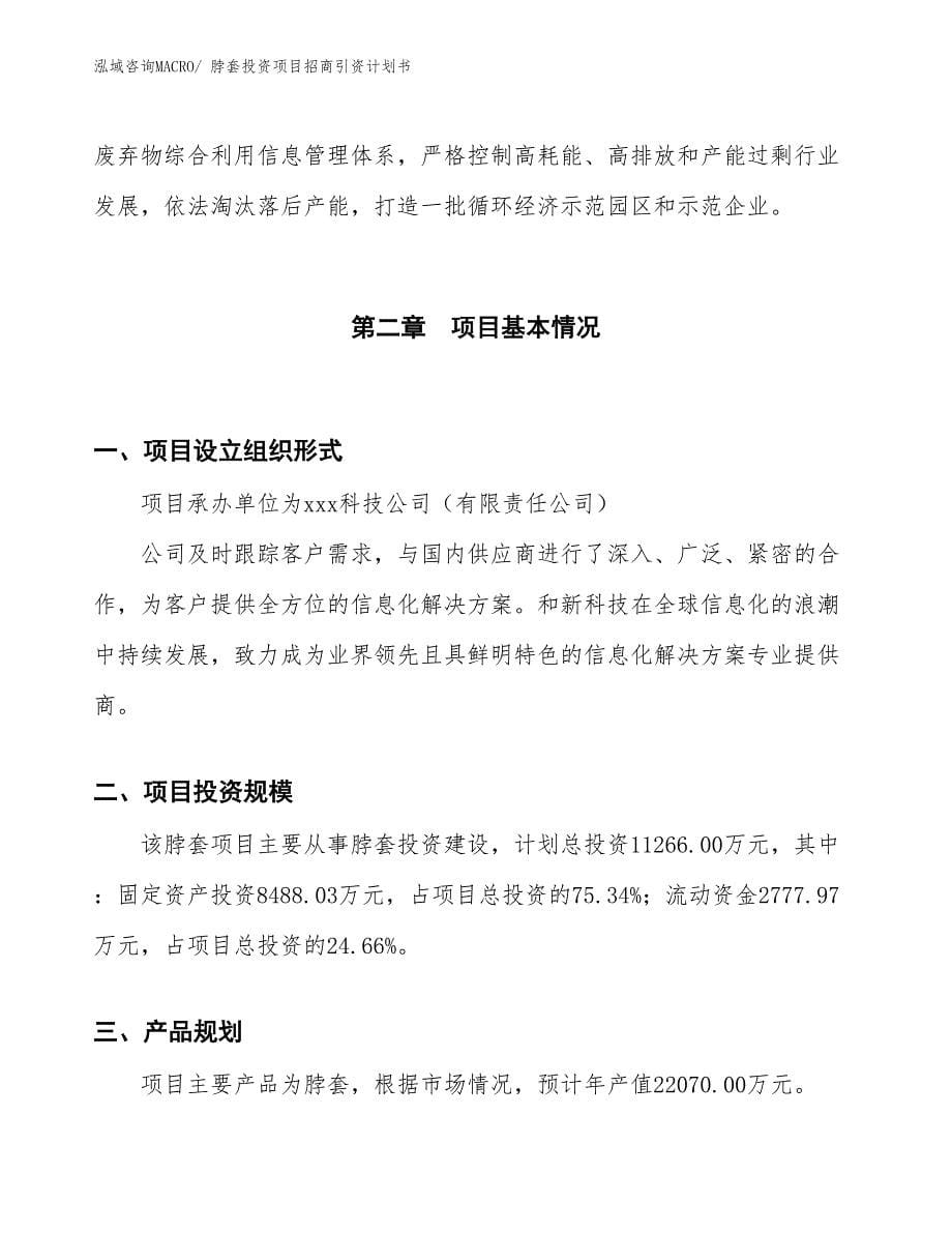 脖套投资项目招商引资计划书_第5页