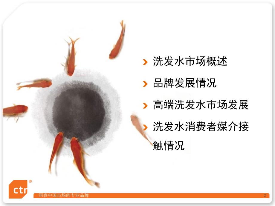 2010中国洗发水市场研究报告_第2页