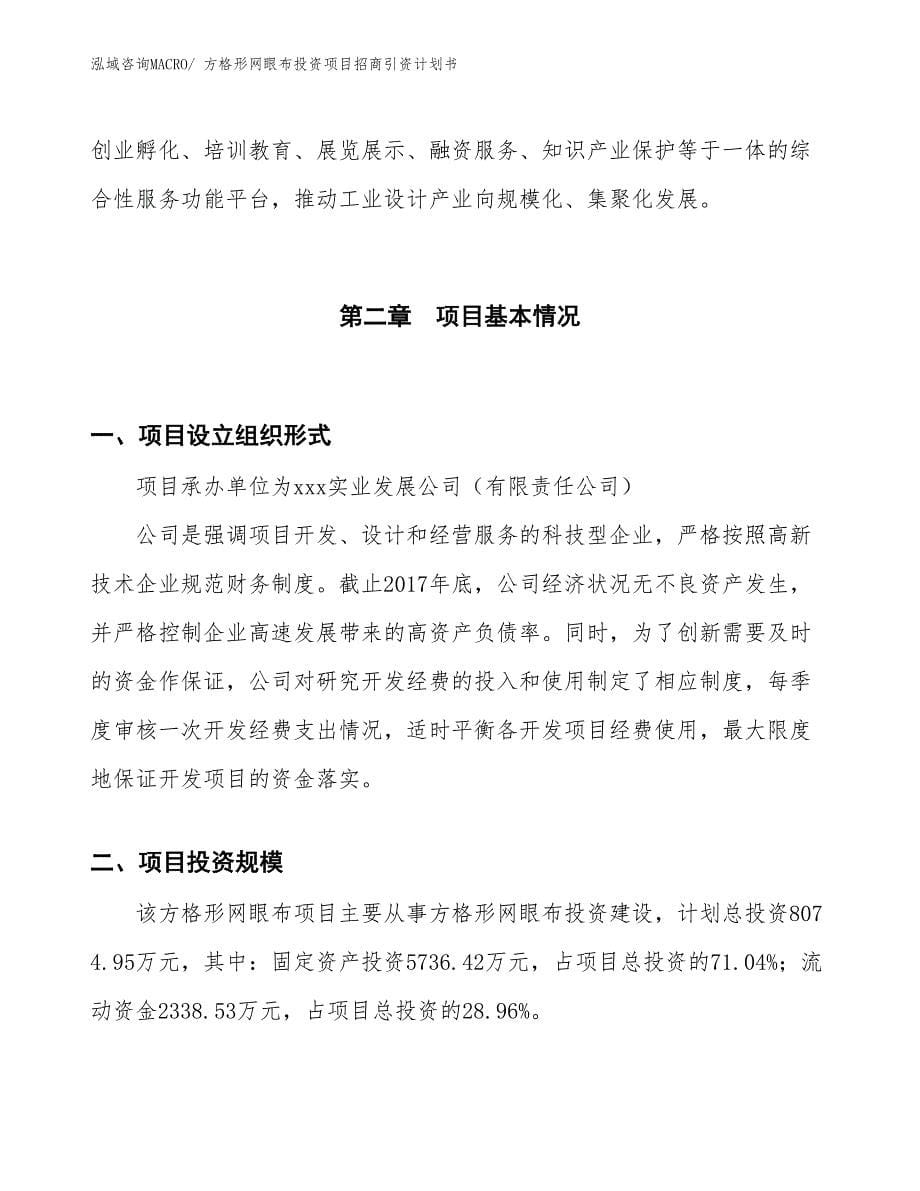 方格形网眼布投资项目招商引资计划书_第5页