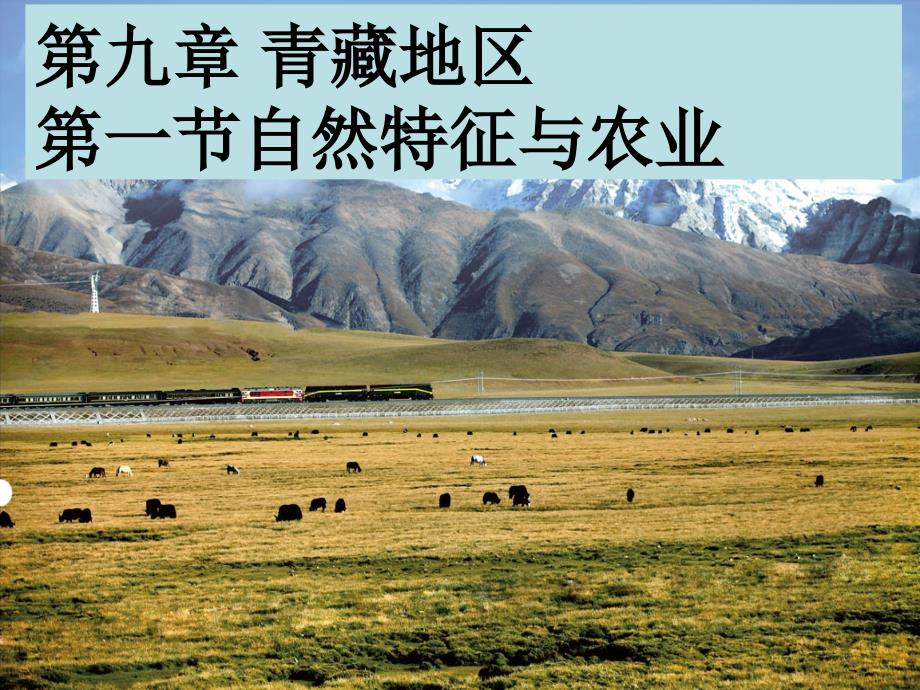 9.1青藏地区的自然特征与农业_第1页