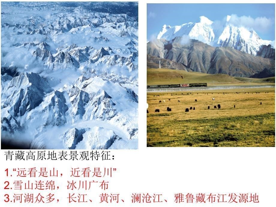 9.1青藏地区的自然特征与农业_第5页