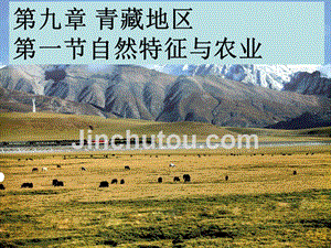 9.1青藏地区的自然特征与农业
