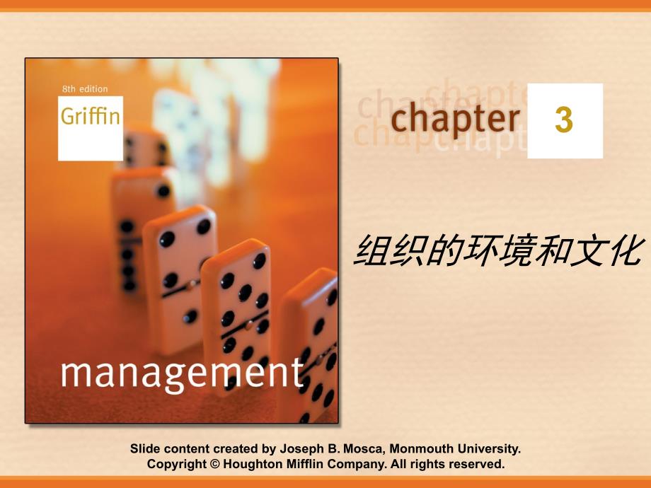 chppt03-组织环境与文化-管理学ppt_第1页