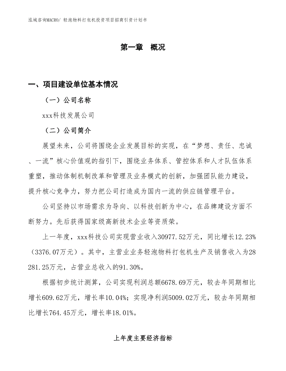 轻泡物料打包机投资项目招商引资计划书_第1页