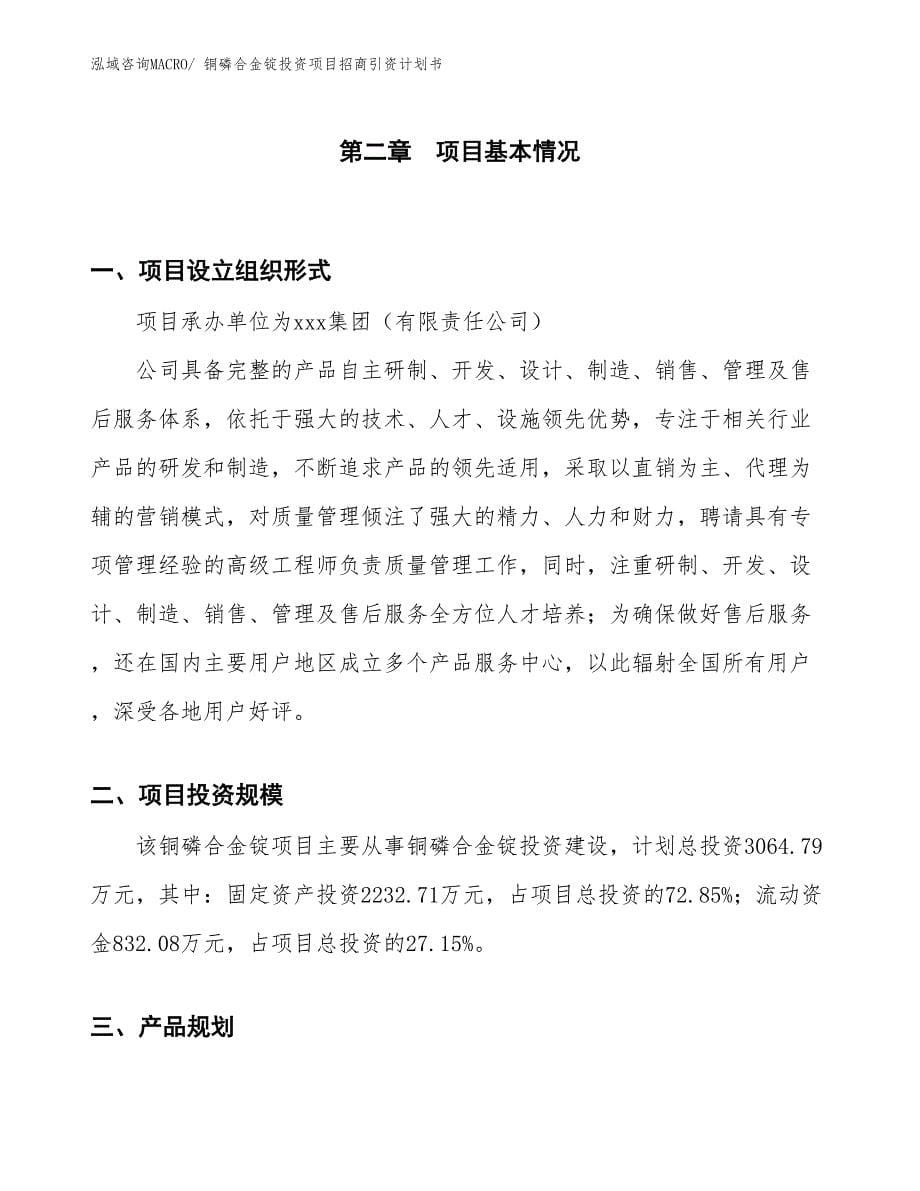 铜磷合金锭投资项目招商引资计划书_第5页