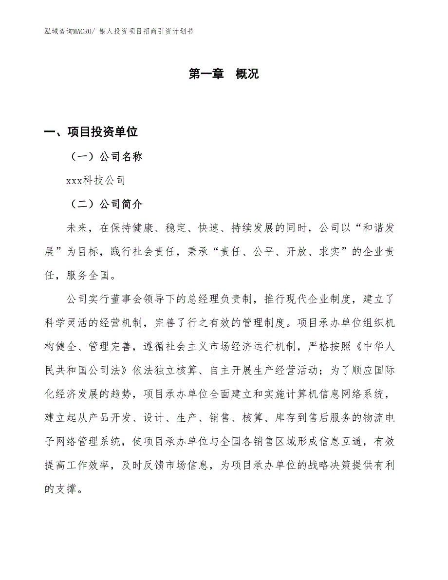 铜人投资项目招商引资计划书_第1页