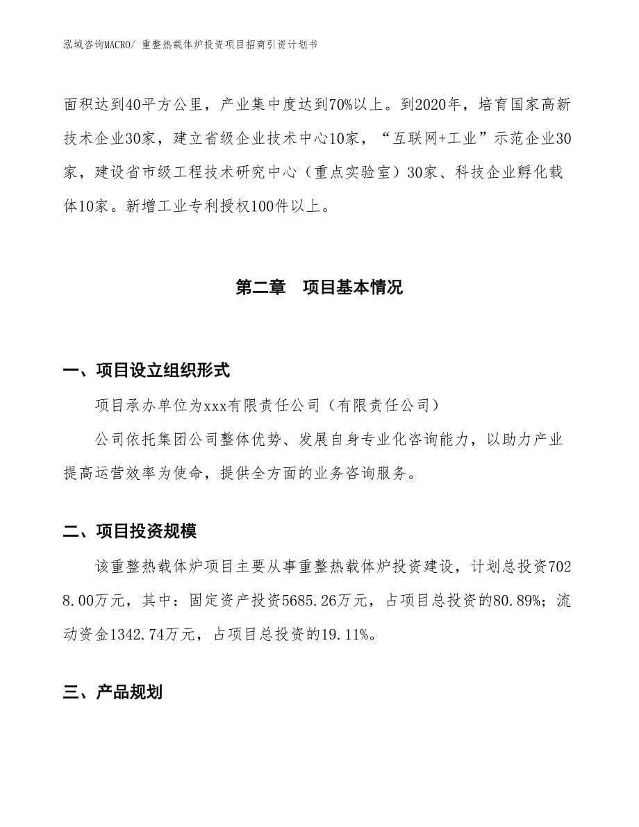 重整热载体炉投资项目招商引资计划书_第5页