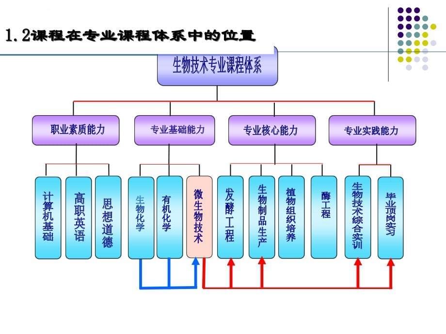 酶工程说课幻灯片_第5页