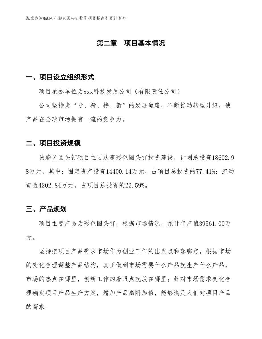 彩色圆头钉投资项目招商引资计划书_第5页