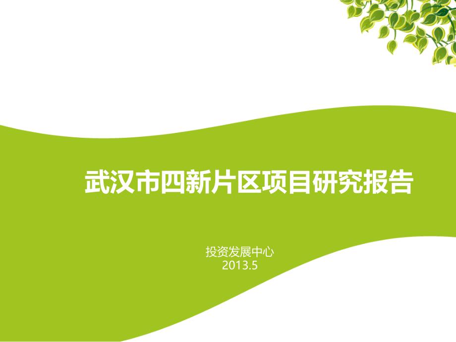 2013年5月武汉四新片区项目可研分析报告48_第1页