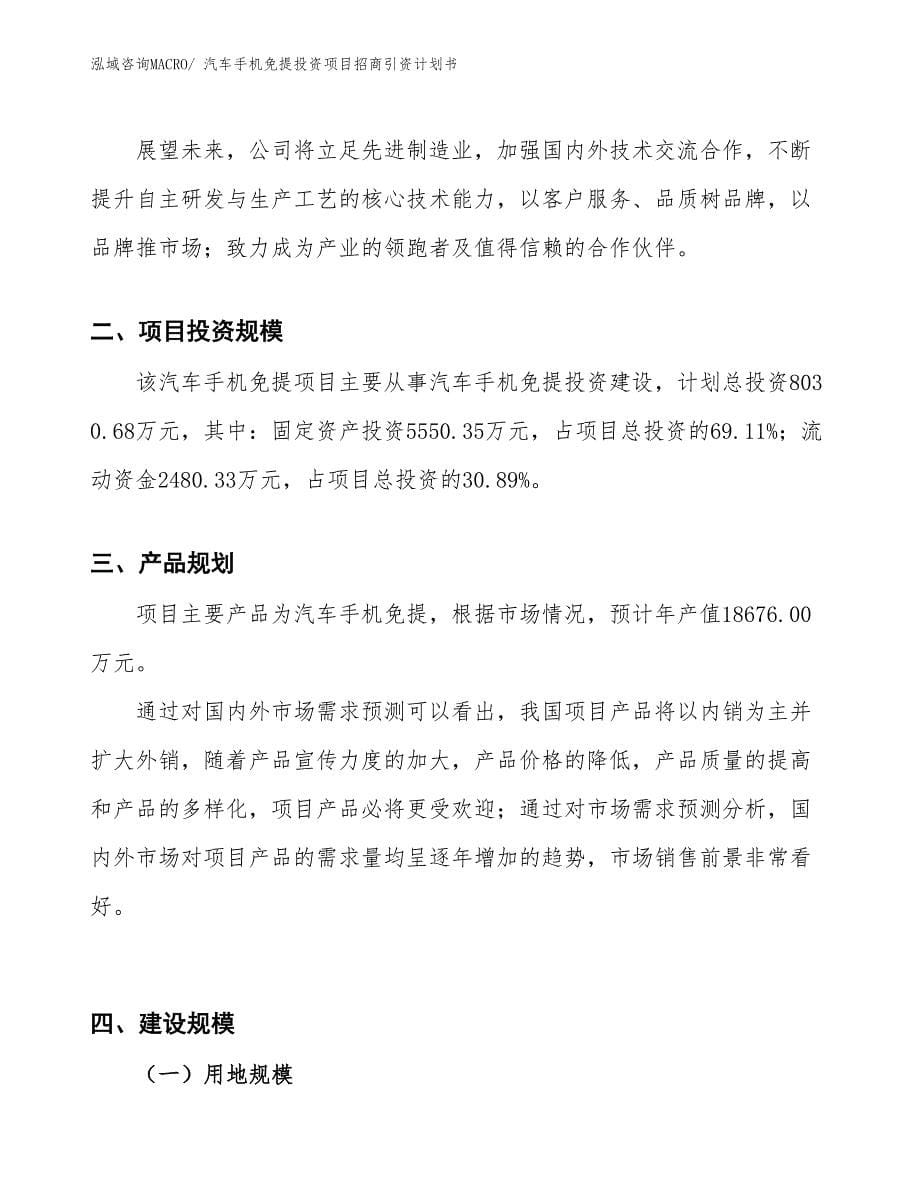 汽车手机免提投资项目招商引资计划书_第5页