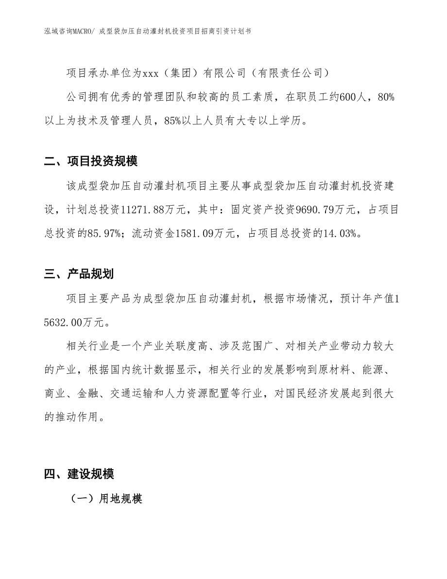 成型袋加压自动灌封机投资项目招商引资计划书_第5页