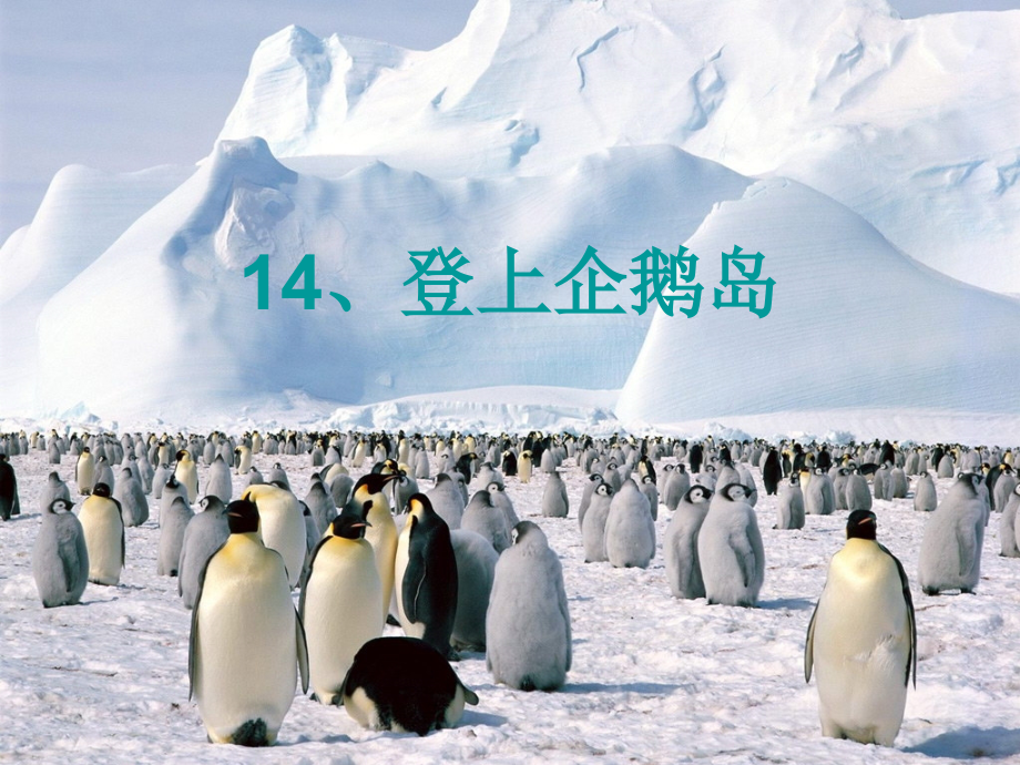 2014秋北京版语文三上《登上企鹅岛》ppt课件5_第1页