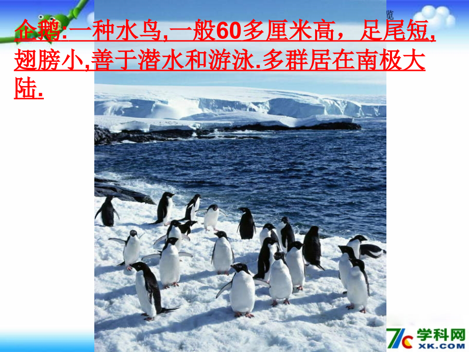 2014秋北京版语文三上《登上企鹅岛》ppt课件5_第3页