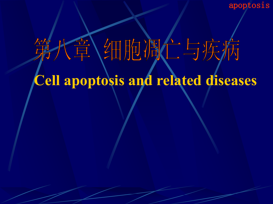 细胞凋亡与疾病ppt-病理学课件_第1页
