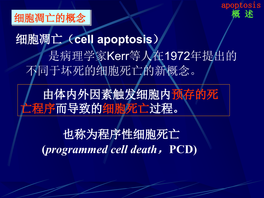 细胞凋亡与疾病ppt-病理学课件_第3页