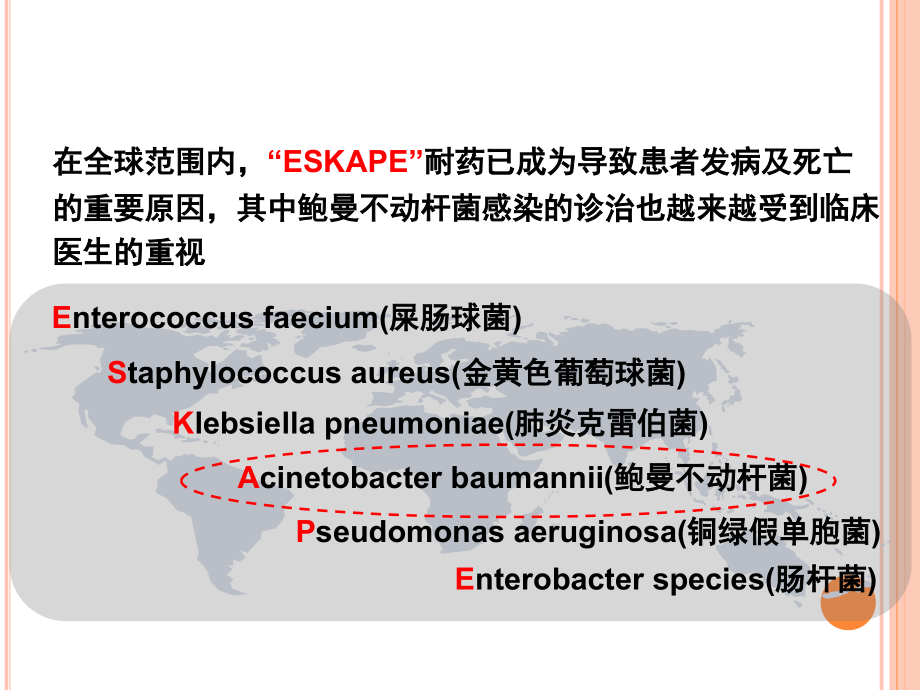 鲍曼不动杆菌(科室学习)课件_第2页