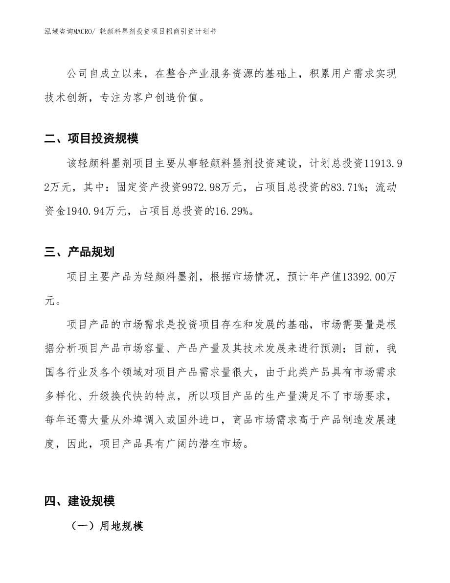 轻颜料墨剂投资项目招商引资计划书_第5页