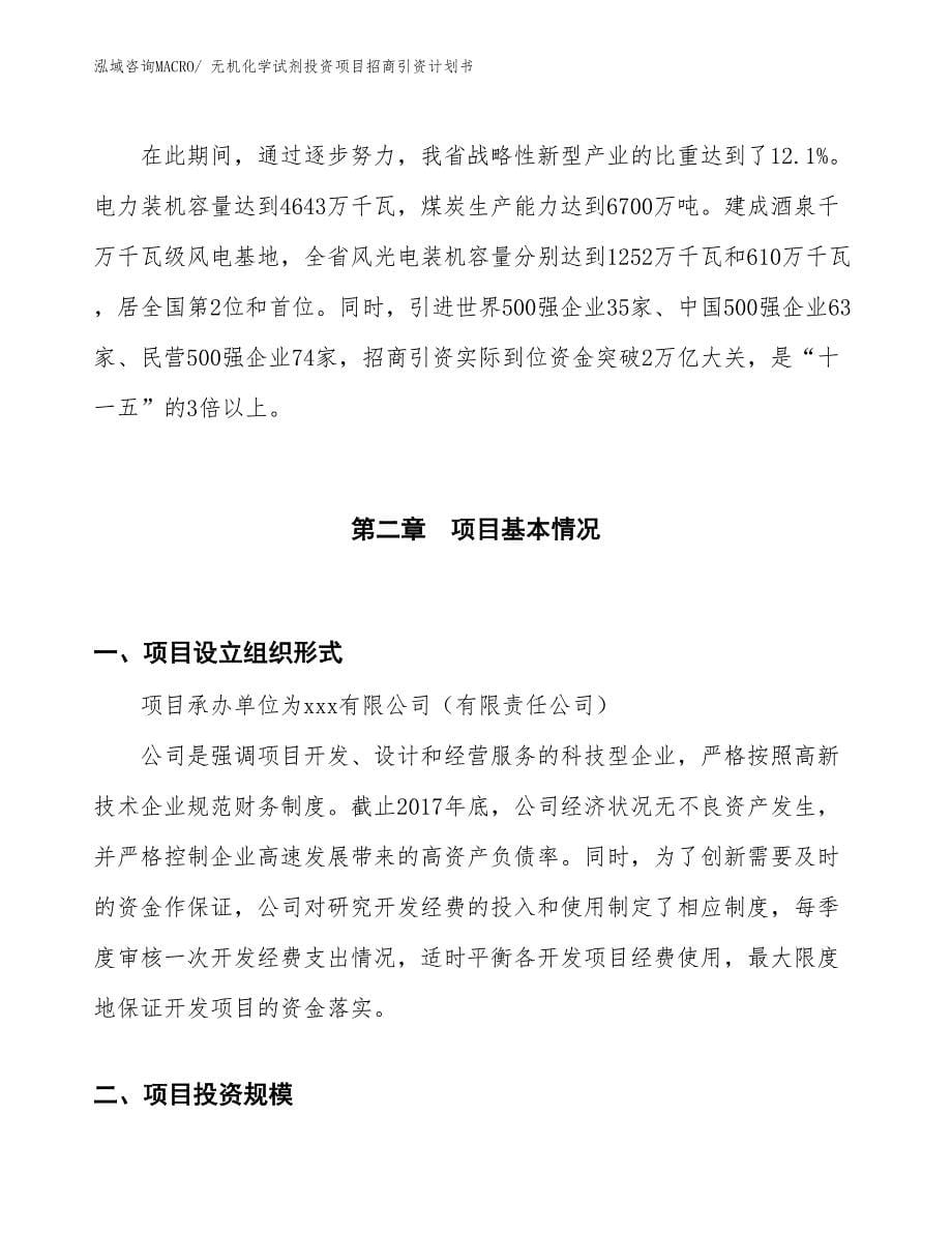 无机化学试剂投资项目招商引资计划书_第5页