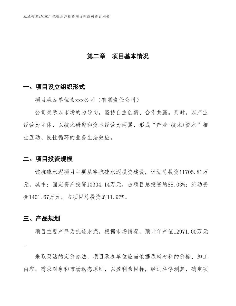 抗硫水泥投资项目招商引资计划书_第5页