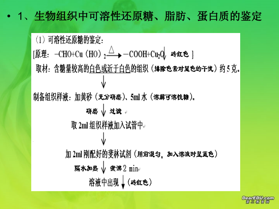 2006年重庆地区荣昌中学高三生物实验题的分类及其应对策略_第3页
