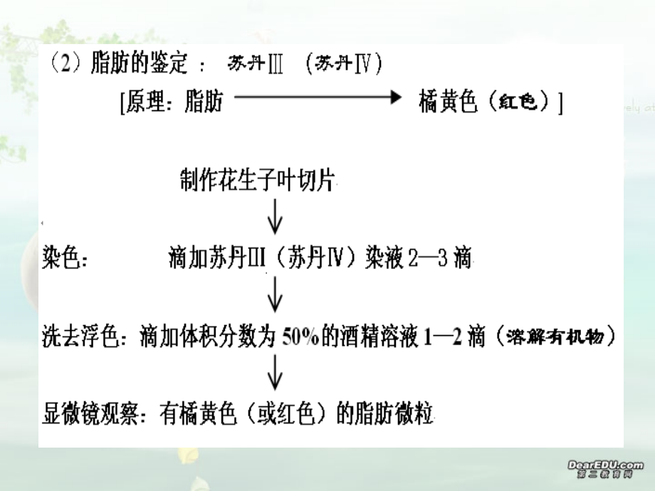 2006年重庆地区荣昌中学高三生物实验题的分类及其应对策略_第4页
