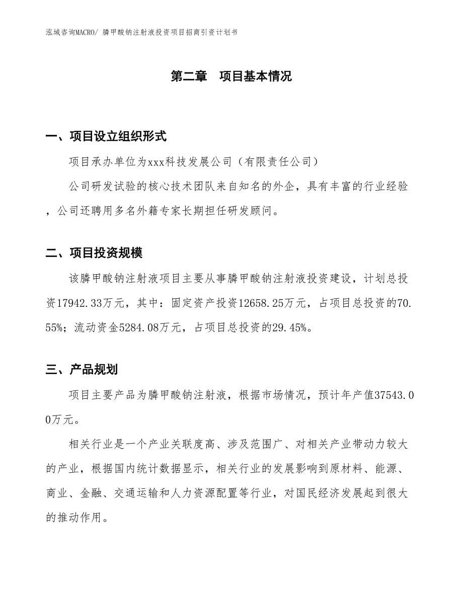 膦甲酸钠注射液投资项目招商引资计划书_第5页