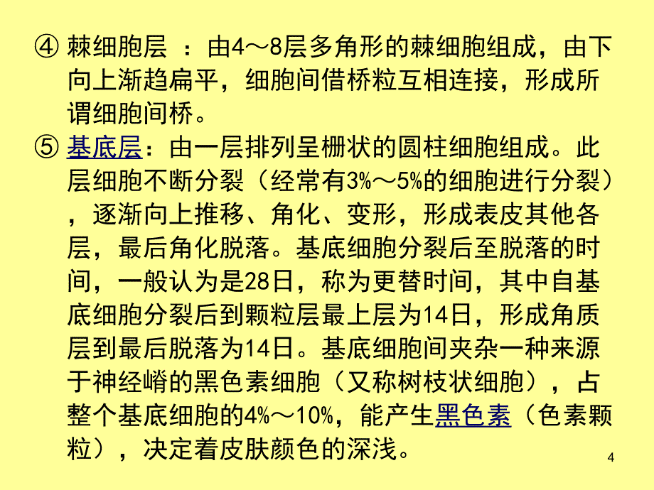 皮肤的解剖与生理_第4页