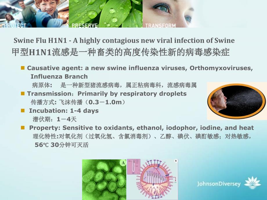 甲型h1n1流感大流行预防和控制-庄臣泰华施_第2页