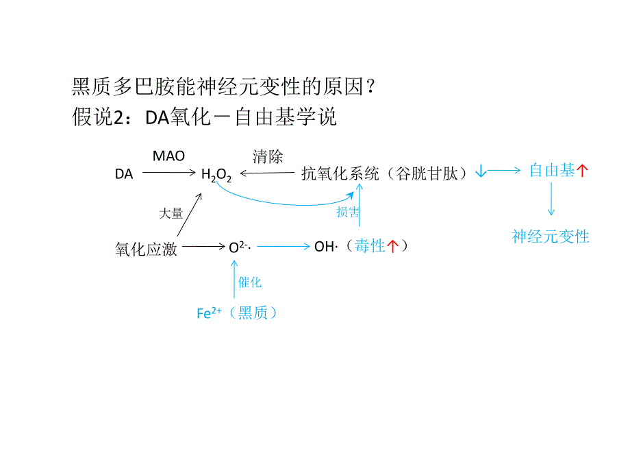 药理学课件-治疗中枢神经退行性疾病药课件_第4页