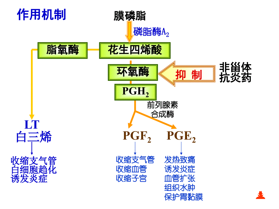 解热镇痛药物合理使用课件_第4页