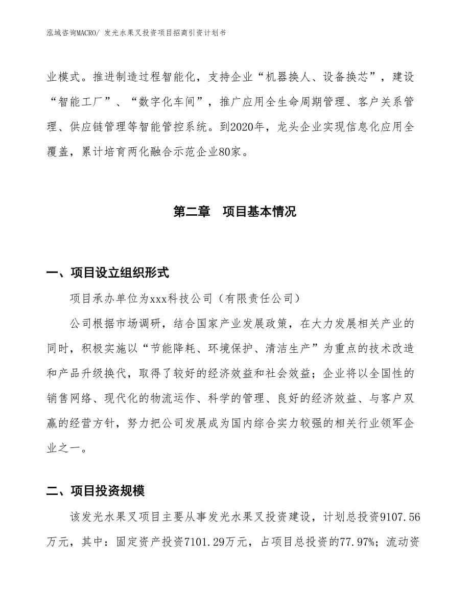 发光水果叉投资项目招商引资计划书_第5页