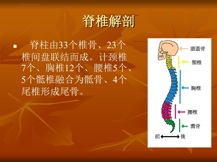 脊柱骨折和脊髓损伤课件_第3页