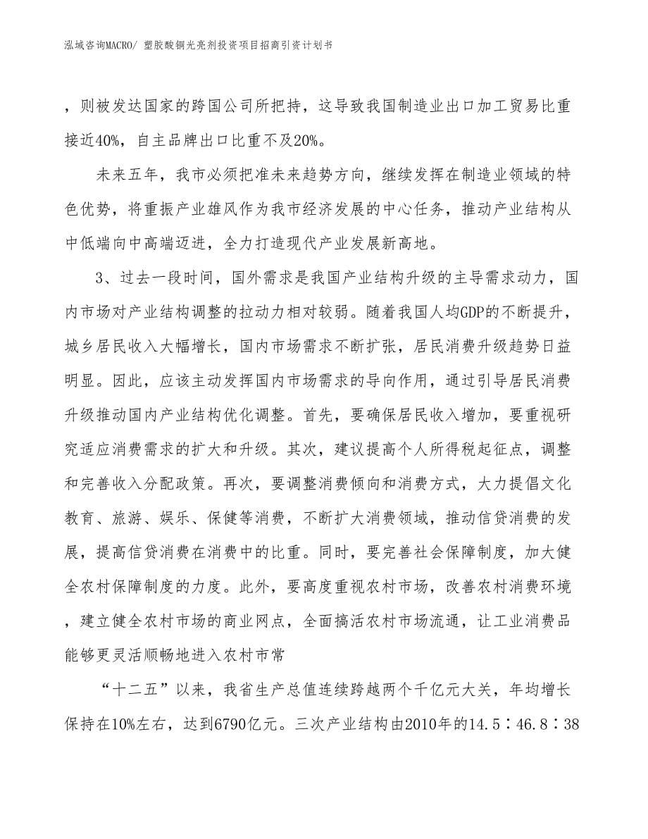 塑胶酸铜光亮剂投资项目招商引资计划书_第5页