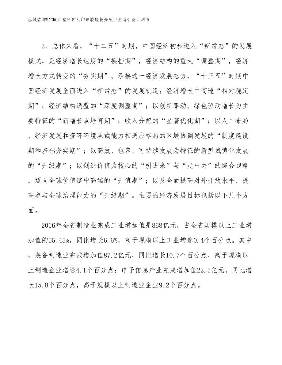 塑料凹凸印刷胶辊投资项目招商引资计划书_第5页