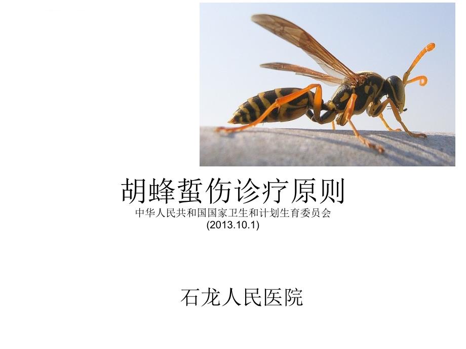 胡蜂蜇伤诊疗原则课件_第1页