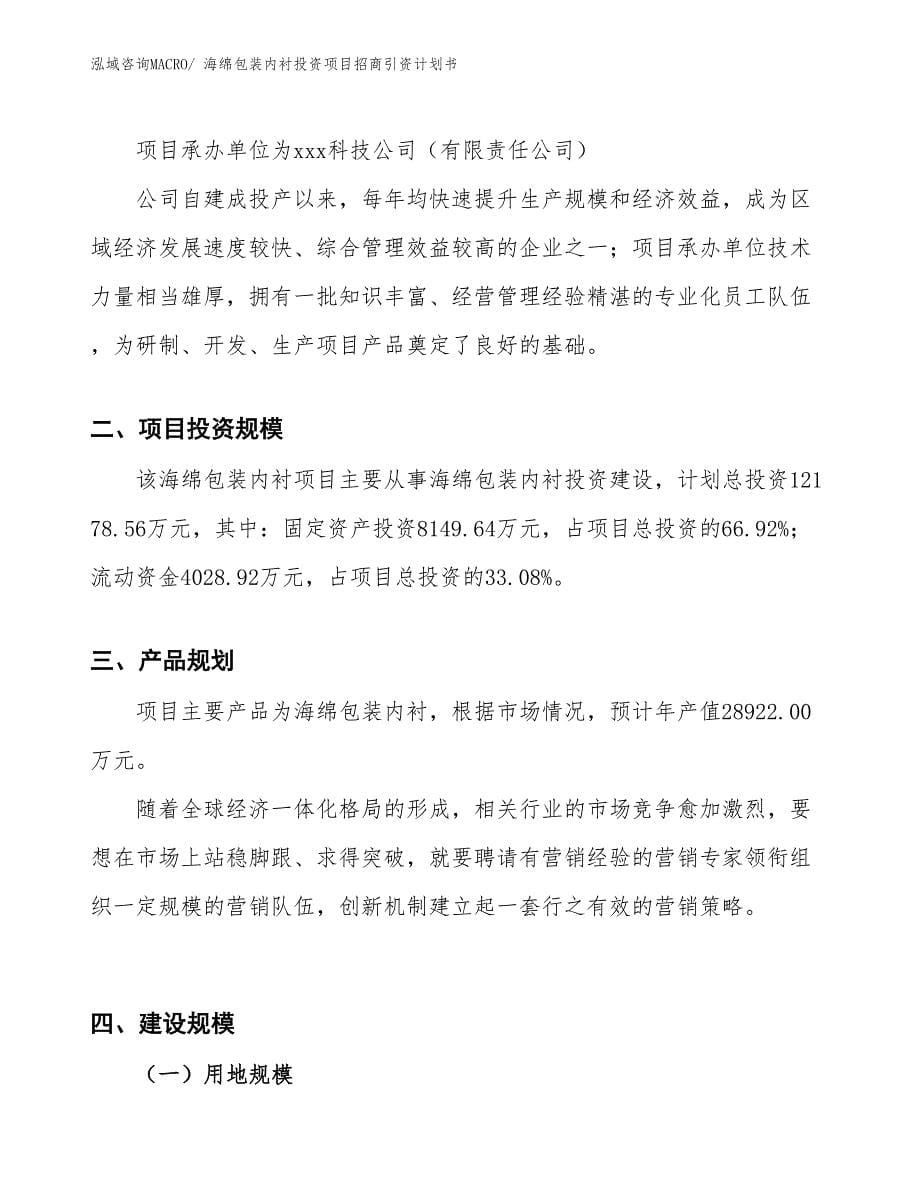 海绵包装内衬投资项目招商引资计划书_第5页