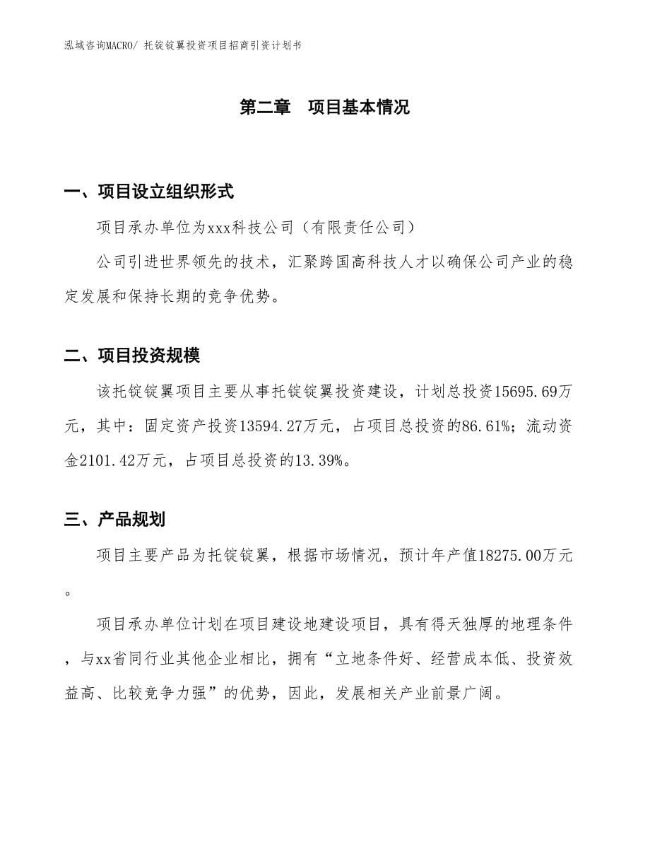 托锭锭翼投资项目招商引资计划书_第5页