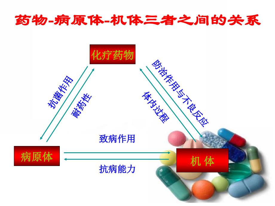 抗微生物用药_第3页