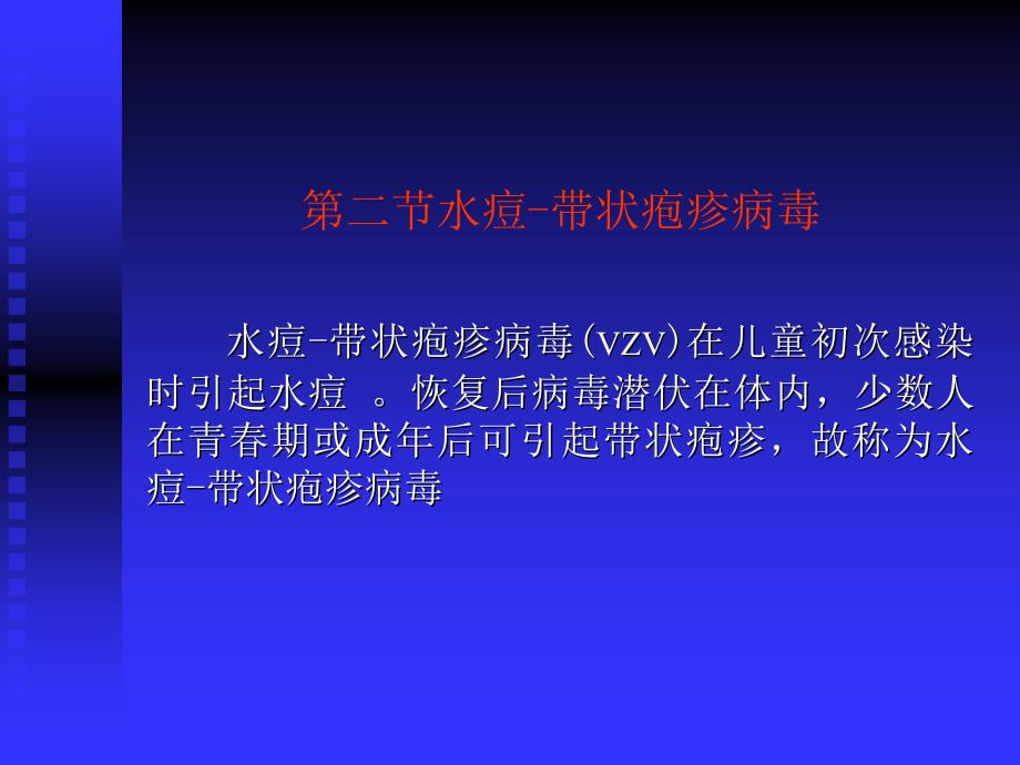 水痘带状疱疹病毒课件_第1页