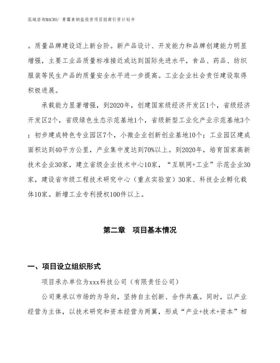 青霉素钠盐投资项目招商引资计划书_第5页