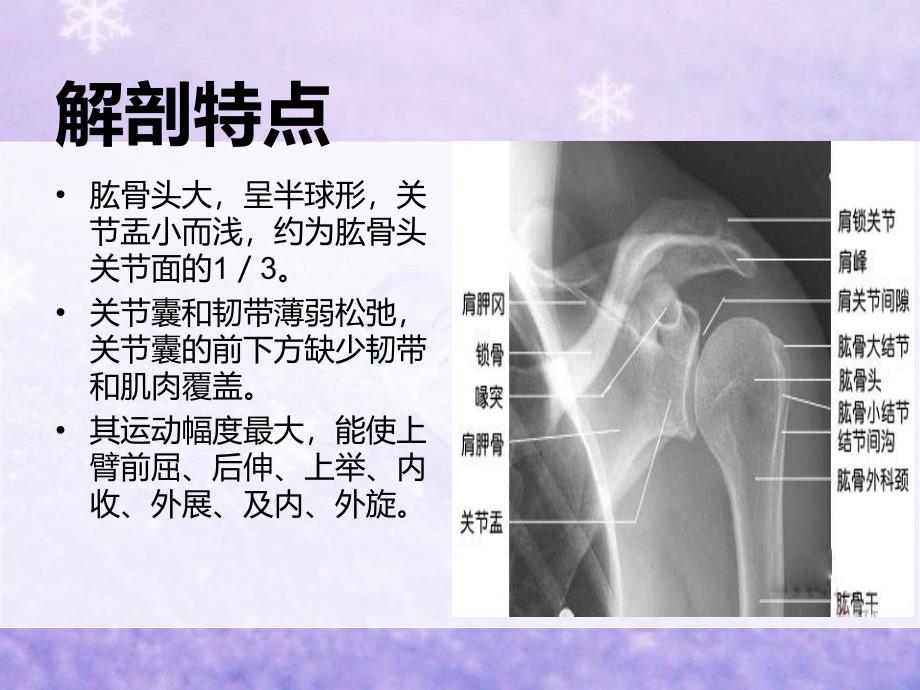 肩关节脱位的护理-2课件_第4页