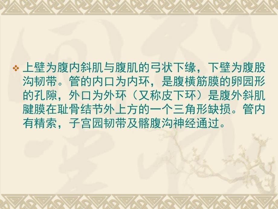 腹腔镜下疝修补术的手术配合课件_第5页