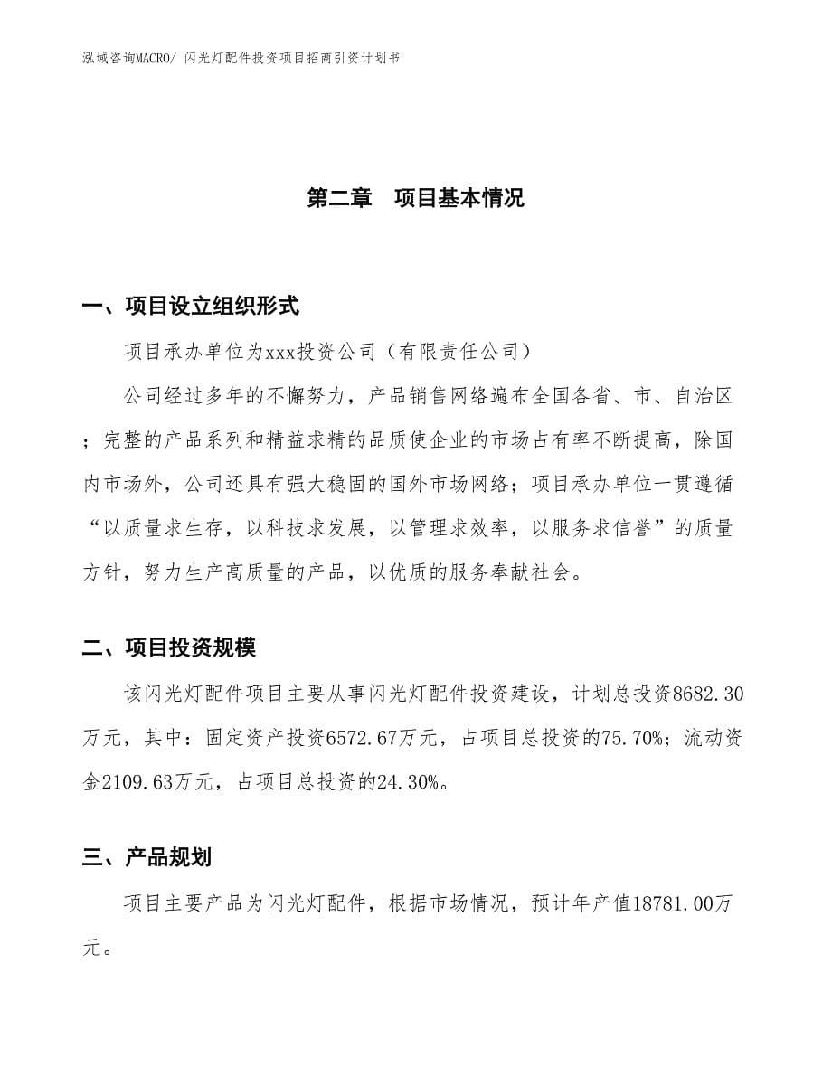 闪光灯配件投资项目招商引资计划书_第5页