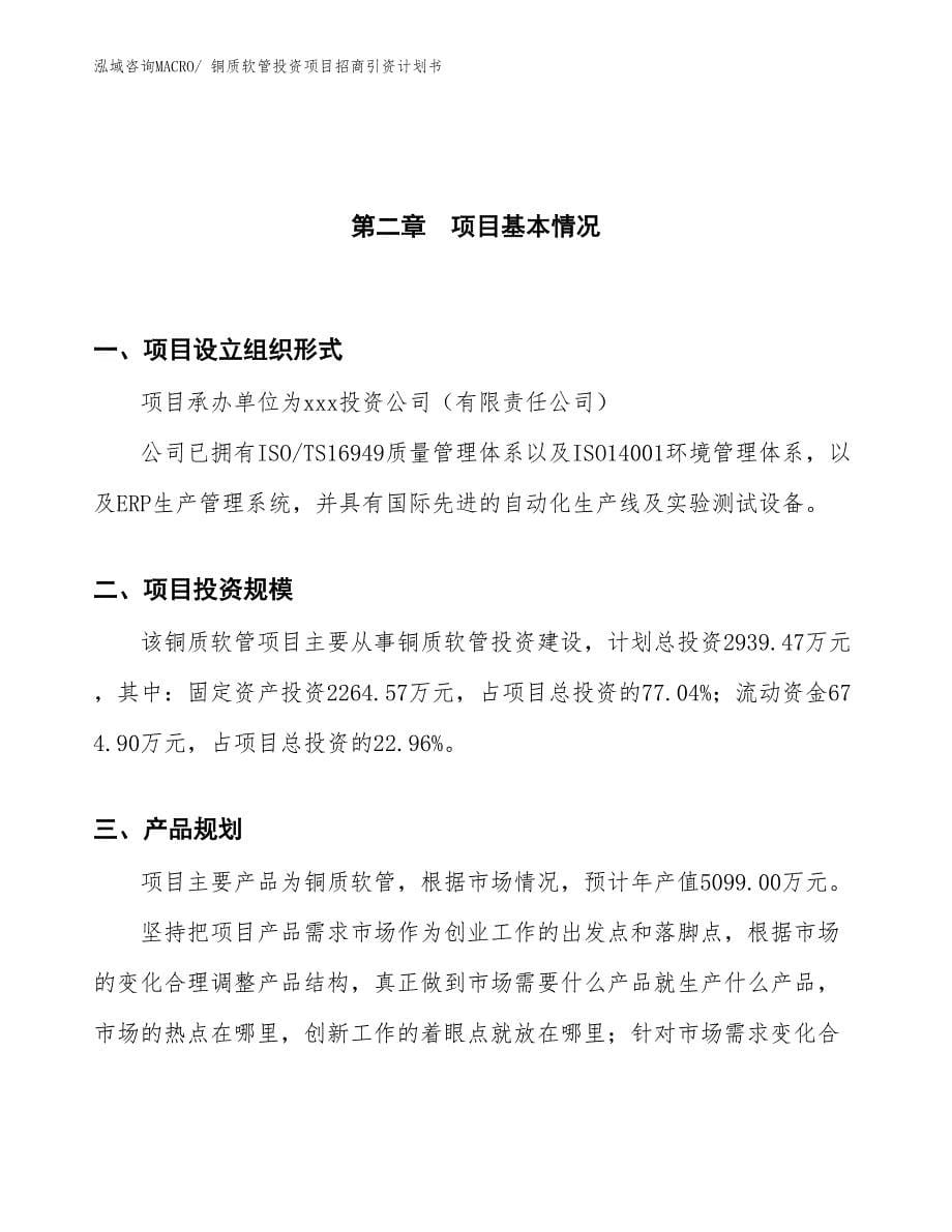 铜质软管投资项目招商引资计划书_第5页