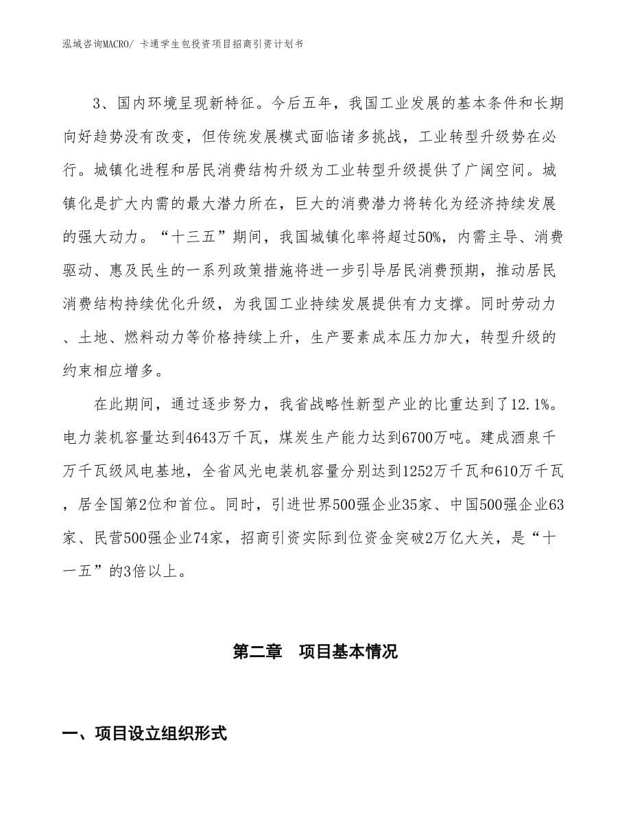 卡通学生包投资项目招商引资计划书_第5页