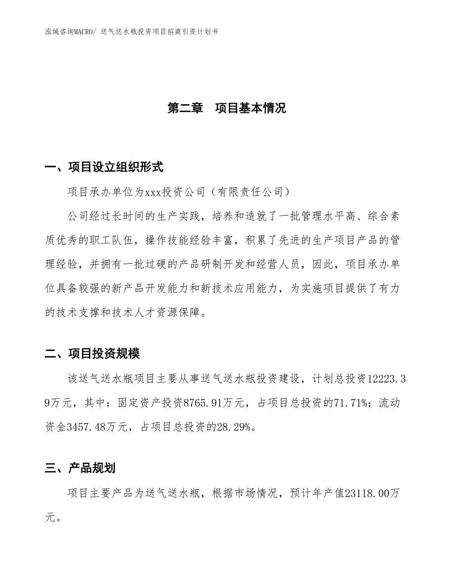 送气送水瓶投资项目招商引资计划书_第5页