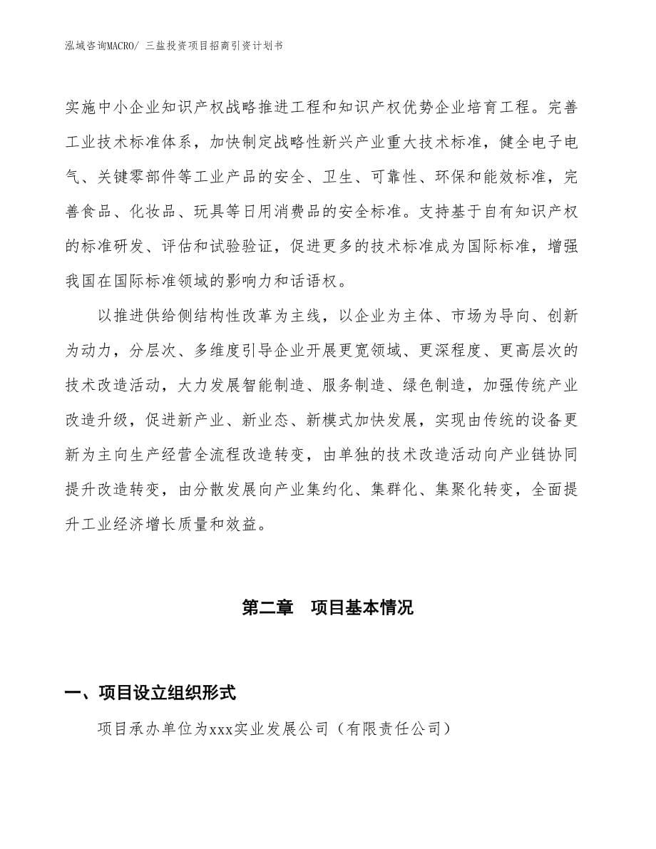 三盐投资项目招商引资计划书_第5页