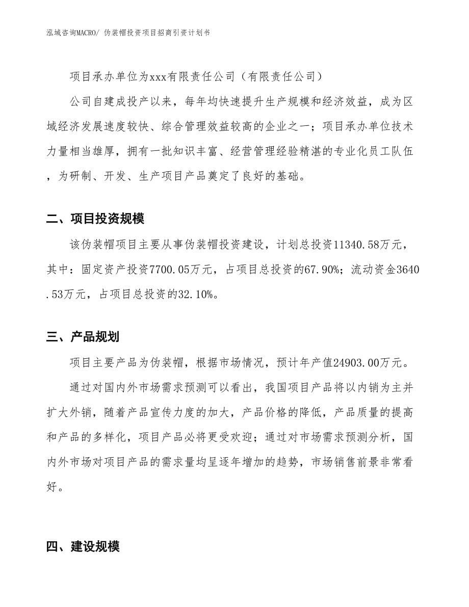 伪装帽投资项目招商引资计划书_第5页