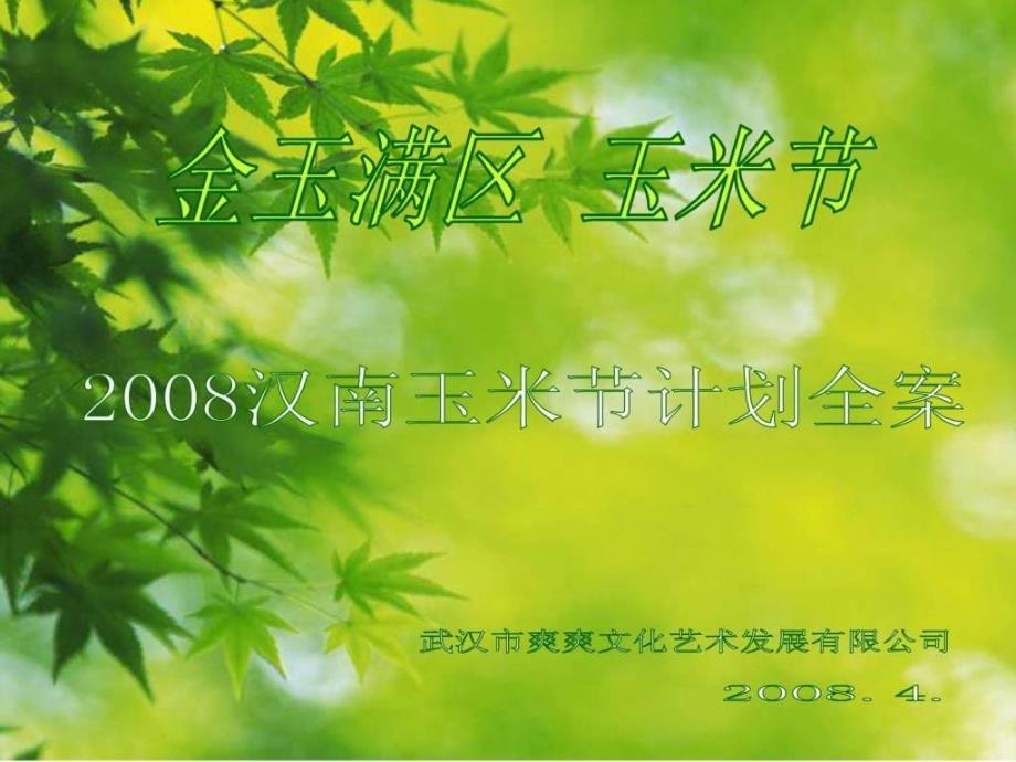 2008汉南玉米节计划全案_第1页